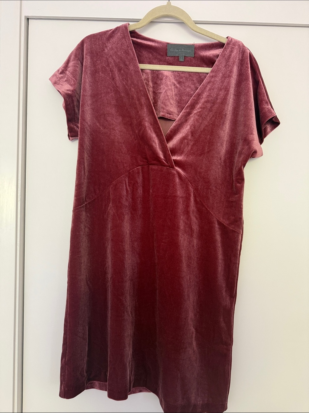 Velvet V-Neck Short Sleeve Dress - Dusty Rose